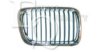 EQUAL QUALITY G0279 Radiator Grille